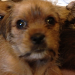 Profile Picture of Janet Davis (@janet.davis.1232) on Flickr