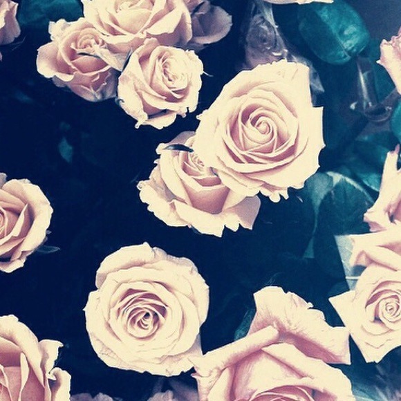 Profile Picture of Deborah Rodrigues (@deborah_xo) on Poshmark