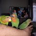 Profile Picture of Jerome Labbe (@jerome.labbe.758) on Facebook