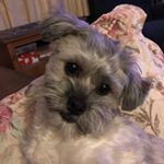 Profile Picture of Jo Ann Bitner (@joann.bitner.7) on Instagram