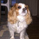 Profile Picture of Rainey (RAINDROP) Barry (@raineydrops10) on Instagram