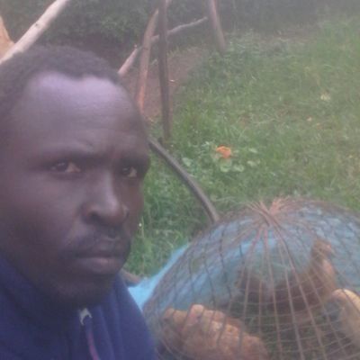 Profile Picture of Paul Ondo (@PaulOndo2) on Twitter