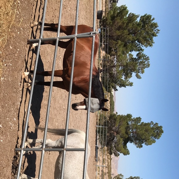 Profile Picture of Maggie Zinninger (@littlemaggs) on Poshmark