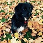 Profile Picture of Stefanie Lenartz (@s.lenartz73) on Instagram