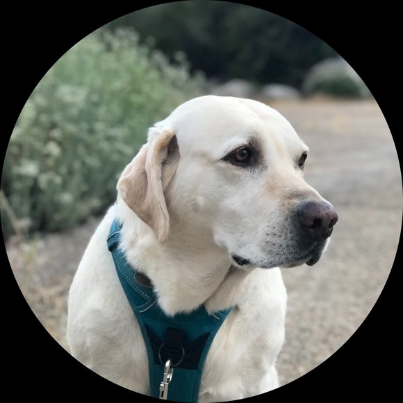 Profile Picture of Kelcey Petersen (@_honeybees_) on Poshmark