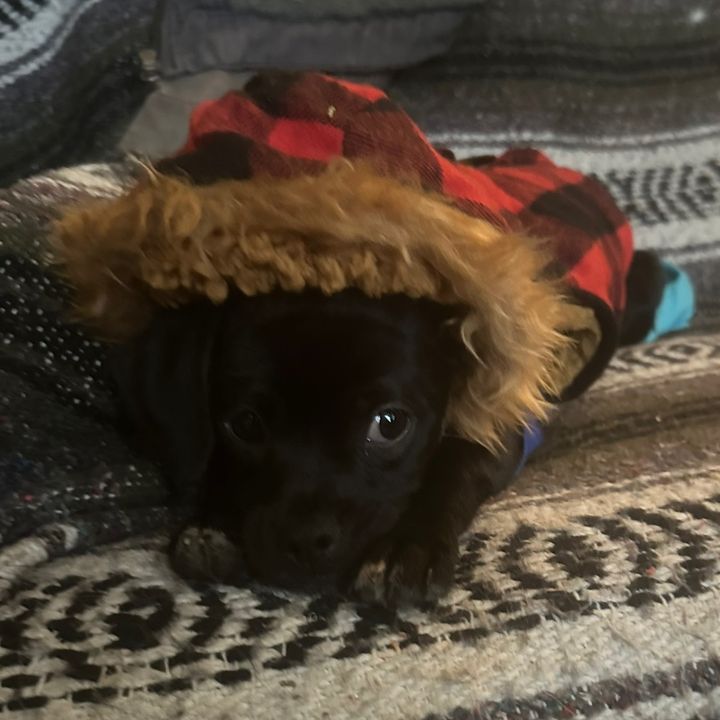 Profile Picture of michael mosier (@michaelmosier4) on Tiktok