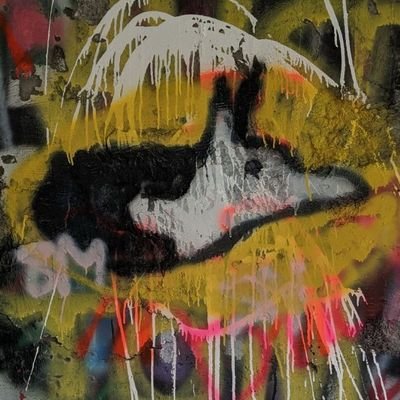 Profile Picture of Chase Carpenter (@ChaseCa14575203) on Twitter