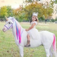 Profile Picture of Ashlie Freeman (@ashlie-freeman) on Quora