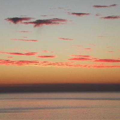 GILL MORGAN - Twitter Profile Picture of GILL MORGAN (@gill_gillmogs) on Twitter