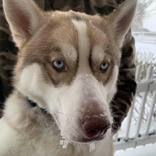 Profile Picture of -Jacob_.Hagy- (@_jacob_hagy_) on Instagram