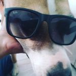 Jazmyn Miller - Instagram Profile Picture of Jazmyn Miller (@lovely_flower448) on Instagram