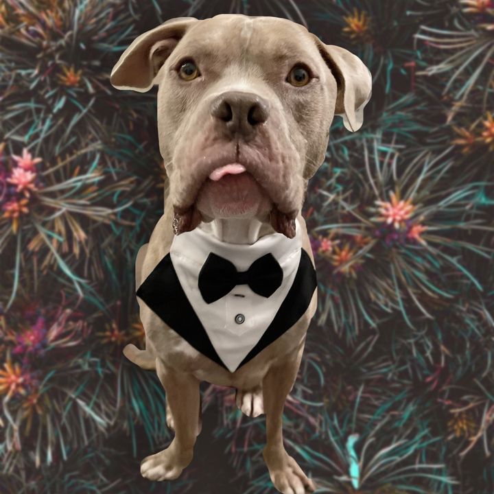 Profile Picture of tyrone (@@ohhiimty) on Tiktok