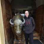 Profile Picture of Daniel Kwiecień (@Daniel-Kwiecień) on Facebook