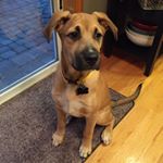 Profile Picture of Greg Britton (@britton.greg) on Instagram