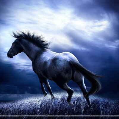 Profile Picture of S Garlick (@GarlickScott) on Twitter