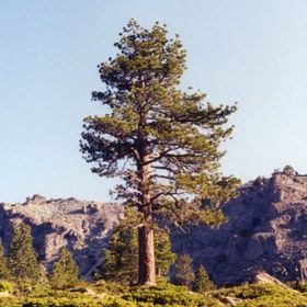 Profile Picture of Patrick Tavenner (@patrickmtavenne) on Pinterest