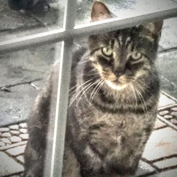 Profile Picture of Mary ellen Krisko (@bgkrisko) on Poshmark