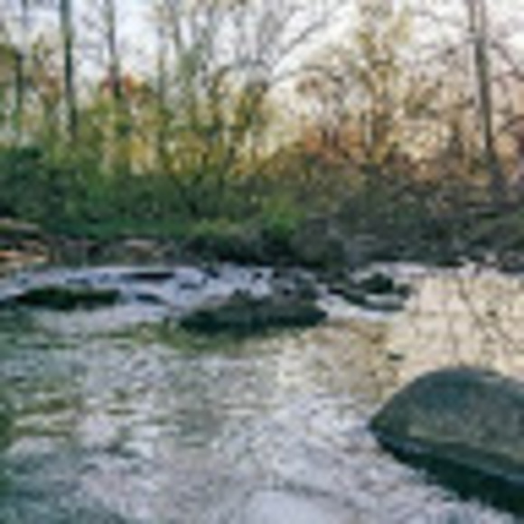 Profile Picture of Zach Miller (@zjm2124) on Poshmark