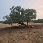 Profile Picture of Mark Mckinnon (@Mark-Mckinnon) on Facebook