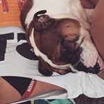 Profile Picture of Lisa Borchert (@borchert_lisa) on Instagram