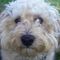 Profile Picture of Bryan M Lauer (@bryan.m.lauer) on Facebook