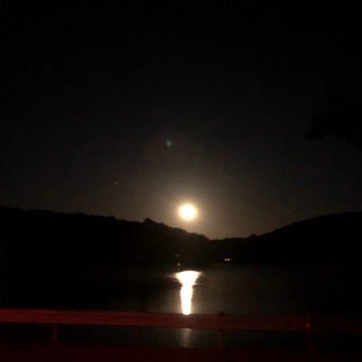 Profile Picture of Al (@Alex_Hinds_) on Twitter
