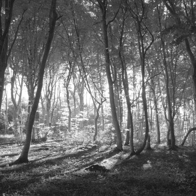 Profile Picture of Cécile Arnaud Henkel (@ArnaudHenkel) on Twitter