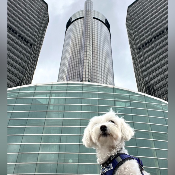 Profile Picture of Kevin Lin (@klun768) on Poshmark