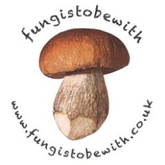 Profile Picture of Darren King (@fungistobewith) on Twitter