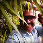 Profile Picture of Calvin Arul (@calvin_a_dylan) on Instagram