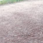 Profile Picture of Robin Chauvin (@Robin-Chauvin) on Facebook