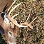 Profile Picture of bassmaster5 (@zacharyhauser) on Instagram