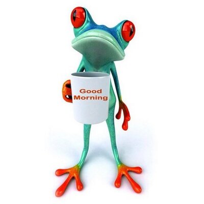 Profile Picture of Jeremy Gallegos (@safetyfrog) on Twitter
