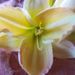 Profile Picture of Jayme Simmonds (@jds1361) on Pinterest