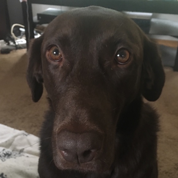 Profile Picture of Brian Juras (@brian_juras) on Poshmark