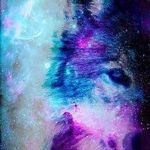 Profile Picture of Dara Kendall-jones (@kjpuppy3761) on Instagram