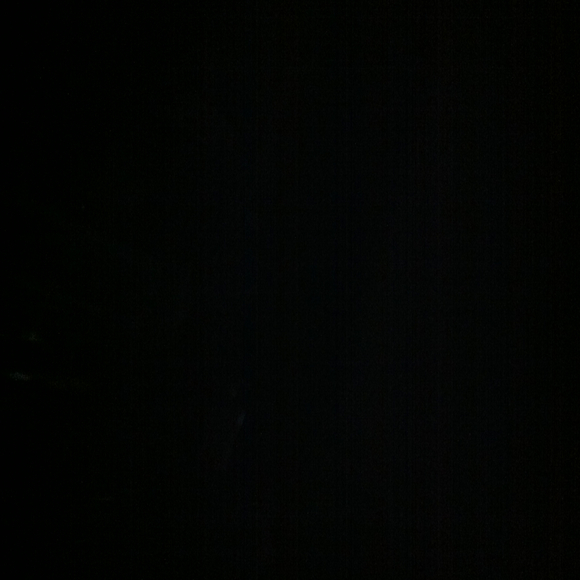 Profile Picture of Joanne Campione (@joannec89) on Poshmark