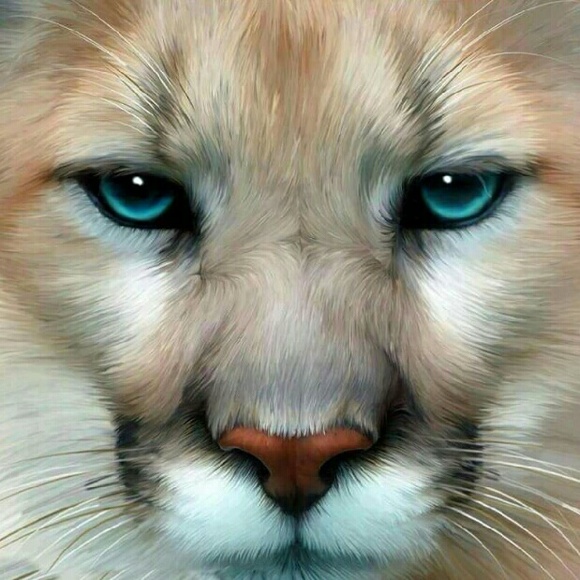 Profile Picture of April Wardwell (@aprilsue00) on Poshmark