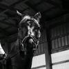 Profile Picture of Lorna (@lorna_inman) on Tiktok