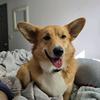 Profile Picture of Michael Husted (@michael.husted4) on Tiktok