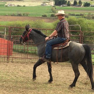 Profile Picture of Eugene Bailey (@eugene.bailey.90663) on Facebook