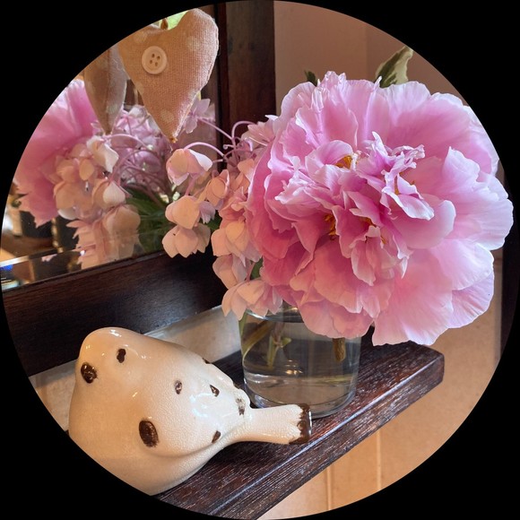 Profile Picture of Wendy Cazzolato (@bowerbirdy) on Poshmark