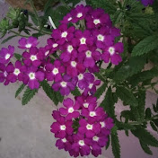 Profile Picture of Arpita Chatterjee (@arpitachatterjee8638) on Youtube