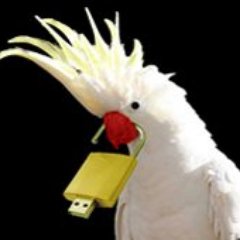 Profile Picture of Eva Gonzalez (@jasperrosa) on Twitter