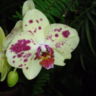 Profile Picture of Kimberly Prather (@KimberlyPrathe2) on Twitter