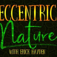 Profile Picture of Erick Hayden (@erick-hayden-2) on Quora