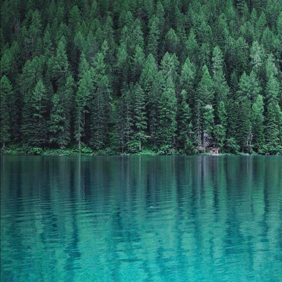 Profile Picture of Ainslie Macnichol (@x2007tet) on Poshmark