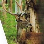 Profile Picture of Michael Himmelmann (@michaelhimmelmann) on Instagram