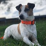 Profile Picture of Ralph Chalmers (@ralphiechalmers) on Instagram
