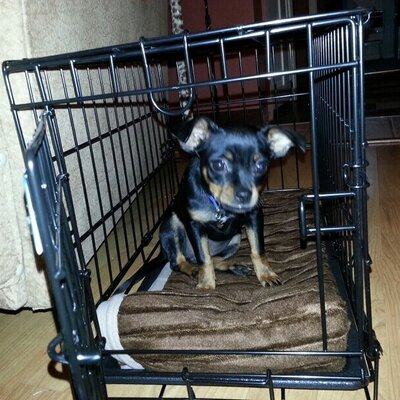 Profile Picture of Robert Ramon (@RrSerpico1956) on Twitter